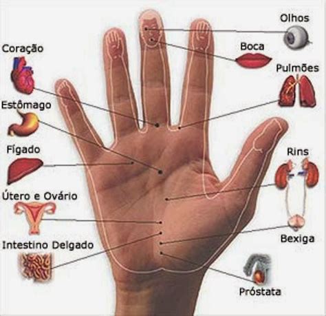 Mapa reflexológico completo das mãos Veja como prever futuros