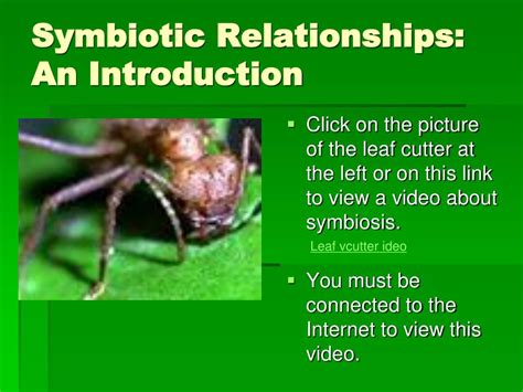 PPT - Symbiotic Relationships PowerPoint Presentation, free download ...