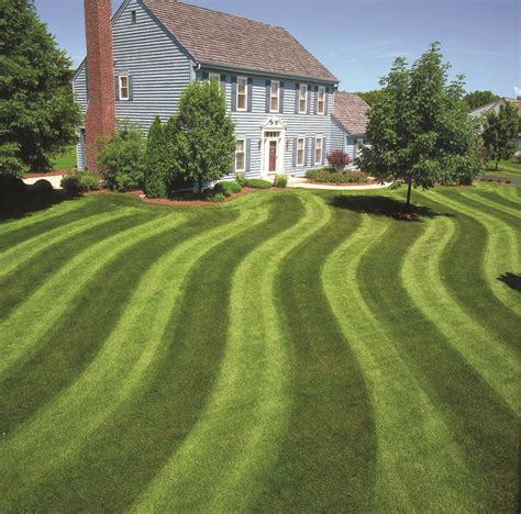 Landscaping Tips Create Striping Patterns In Your Lawn For Sharp Look Lawn Striping Lawn