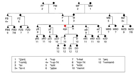 Reconstructed Terms For Consanguineal Kin Relations Of A Female Ego