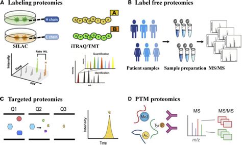 Quantitative Proteomics Characterization Of Cancer Biomarkers And