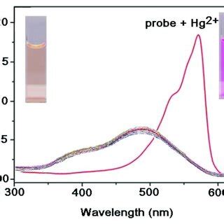 Absorption spectra of VRF probe 10 μM in the presence of Hg 2 and