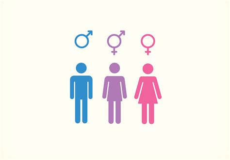 What Is The Difference Between Gender And Sex CVD