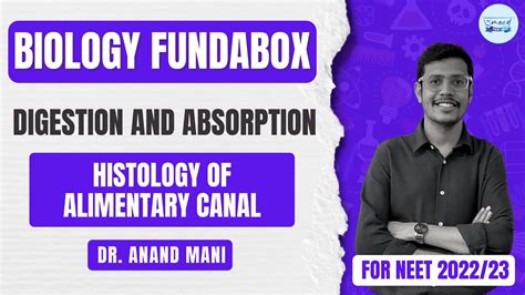 Histology Of Alimentary Canal Biology Fundabox Neet 202223 Dr Anand Mani Youtube