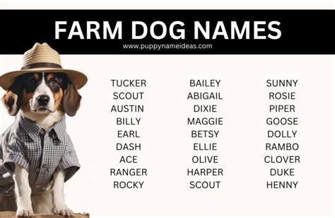 130+ Farm Dog Names - Puppy Name Ideas