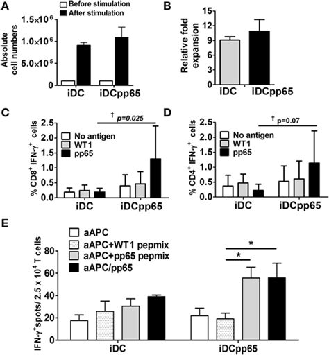 Frontiers Multidimensional Analysis Integrating Human T Cell