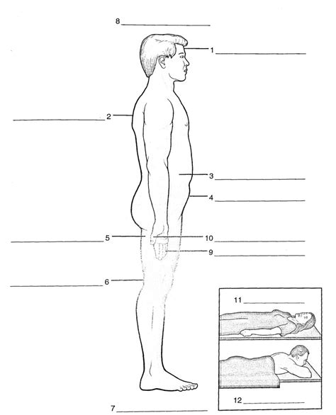 Positional And Directional Terms Part Diagram Quizlet