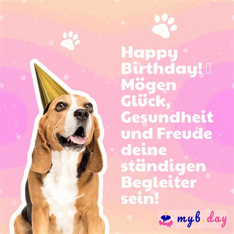 Alles Gute Zum Geburtstag Geniale Spr Che Und Karten