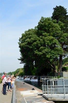 Visit Marsh Lock Near Henley On Thames