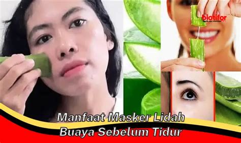 Temukan Khasiat Masker Lidah Buaya Sebelum Tidur Yang Perlu Anda