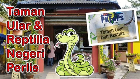 Taman Ular Dan Reptilia Negeri Perlis I Tempat Menarik Di Perlis Youtube