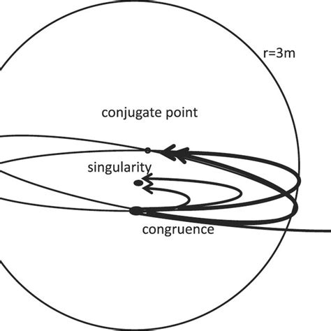 Singular Congruences Are Considered Around A Totally Wandering Null