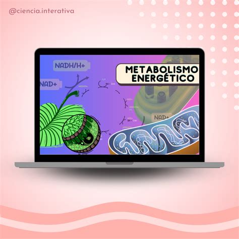 Metabolismo energético Ciência Interativa