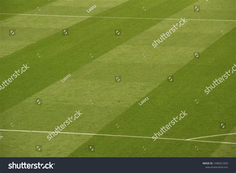 Football Stadium Green Grass Stock Photo 1498251059 | Shutterstock