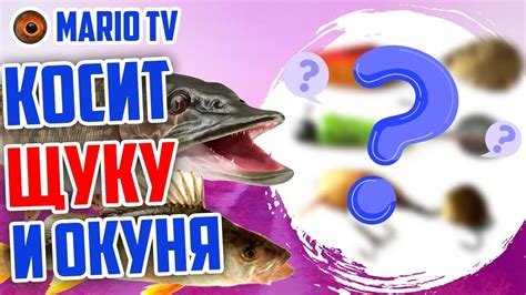 ТЕЙЛ-СПИННЕР своими руками. Новая приманка на щуку и окуня - YouTube