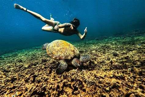 2024 Full Day Snorkeling in Perhentian Island