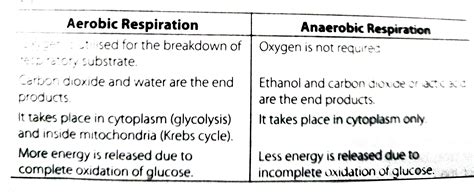 Aerobic And Anaerobic Respiration