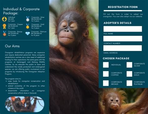 Orangutan Adoption Program - Sarawak Forestry Corporation