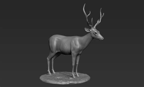 Artstation Deer Sculpt