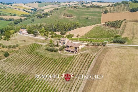 AZIENDA AGRICOLA VITIVINICOLA BIOLOGICA IN VENDITA NELLE MARCHE