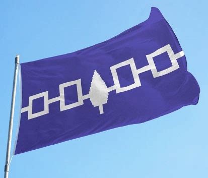 Flag Haudenosaunee Flag, 5'x3'//indigenous// Native People//five ...