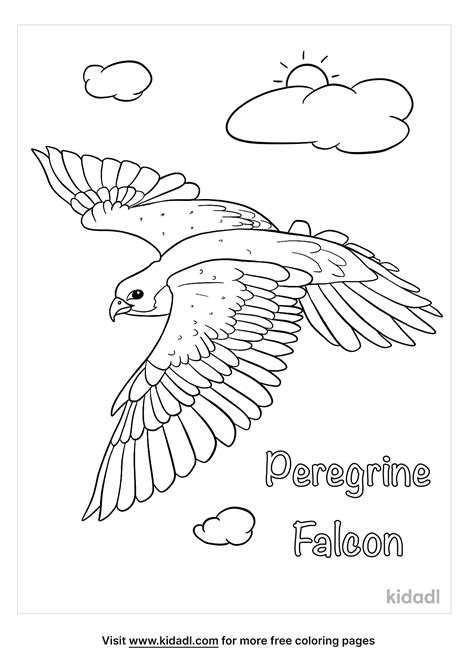 Peregrine Falcon Coloring Page Free Birds Coloring Page Coloring Nation