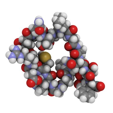 4 Atrial Natriuretic Factor Structure Images, Stock Photos, 3D objects ...