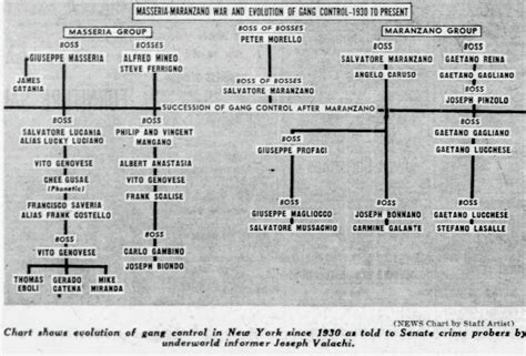 The chart shows the evolution of the mob in NY during the 1930s to the ...