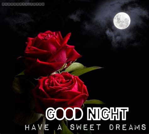 Have A Sweet Dream Good Night Wishes Sweet Dreams Best Movie