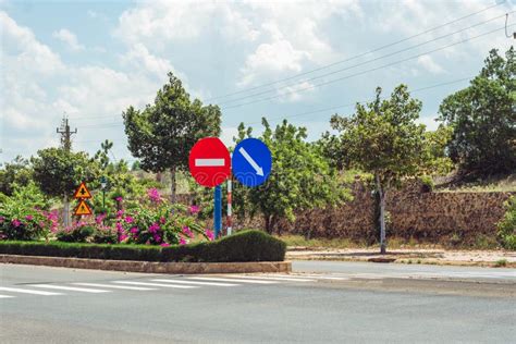 Bright Sunshine Day Time Highway Curve Road Overpass Nature Landscape