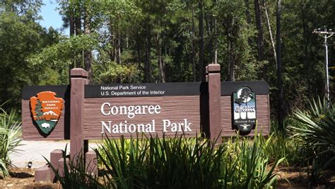 One of the least visited: Congaree National Park – National Park Units