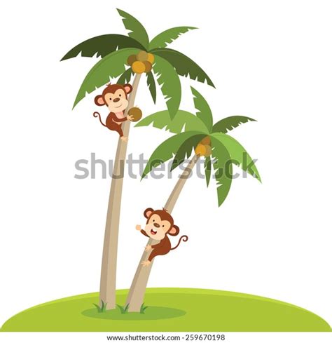 2,179 Monkey On Coconut Tree Images, Stock Photos, 3D objects ...