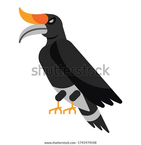 Burung Enggang Vector 58 Koleksi Gambar