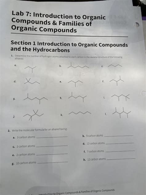 Solved Lab Introduction To Organic Compounds Families Chegg