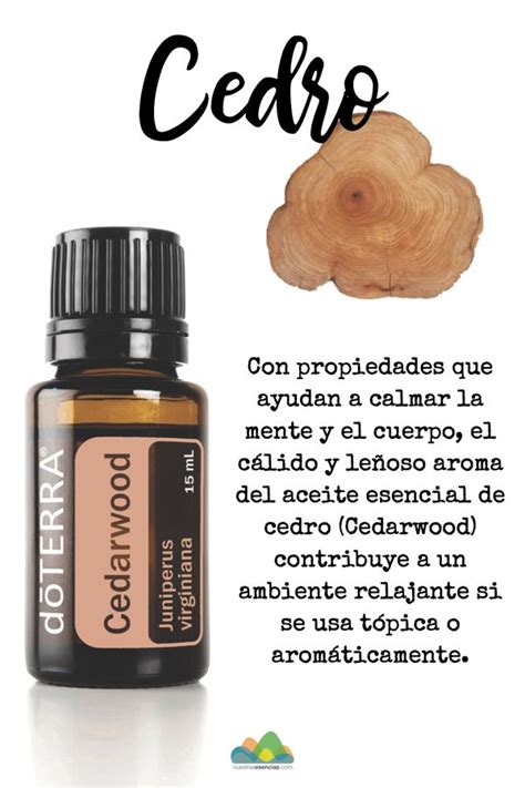 Aceite Esencial De Cedro De D Terra Doterra Holistic Nutrition