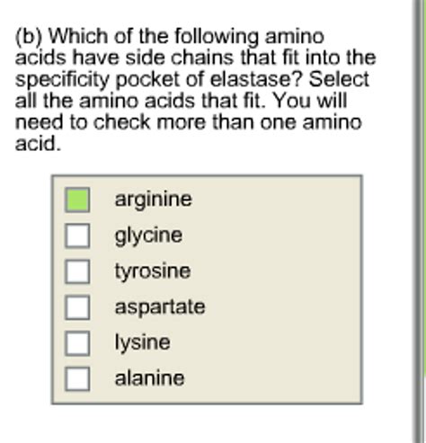 Solved Which Of The Following Amino Acids Have Side Chains Chegg