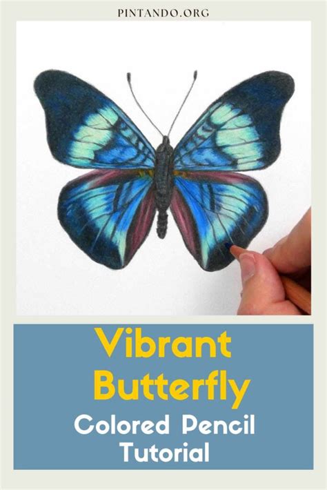 Vibrant Butterfly: Colored Pencil Tutorial - Pintando.org