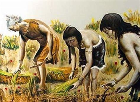 Grupos Humanos Introdujeron La Agricultura En La Edad De Piedra Los Tiempos