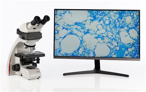 Dm Binocular Educational Microscope Products Leica Microsystems