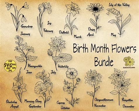 Birth Month Flowers Svg Bundle Birth Month Flower Flower Etsy Birth