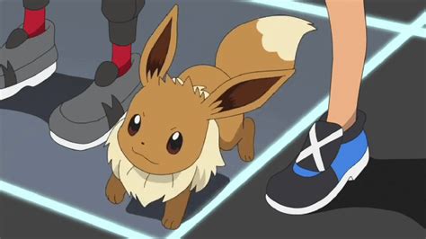 Anime Pokémon Gif - Gif Abyss