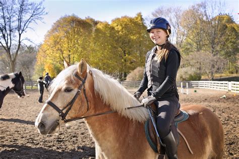 Reiturlaub im Bayerischen Wald - Glanzlichter für Ihre Reitferien