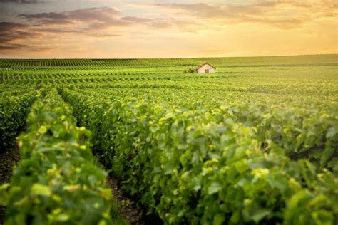 Champagne Ardenne Que Voir Villes Visiter Météo En Ce Moment