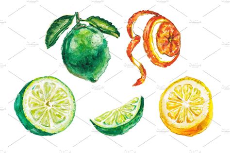 Watercolor citrus illustration – MasterBundles