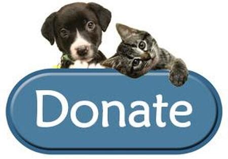 DONATE - HUMANE SOCIETY Of the BVI