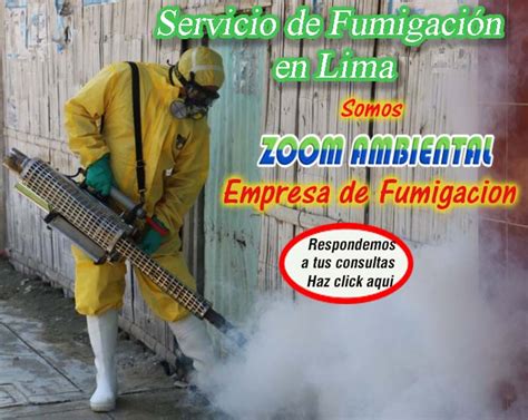 Plagas En Madera Fumigaciones En Lima