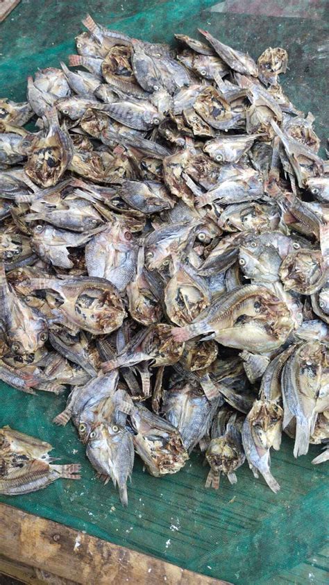 Ikan Asin Mujaer Belah 1kg Gurih Lazada Indonesia