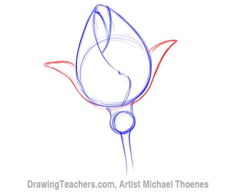 Simple Rose Bud Drawing at PaintingValley.com | Explore collection of ...