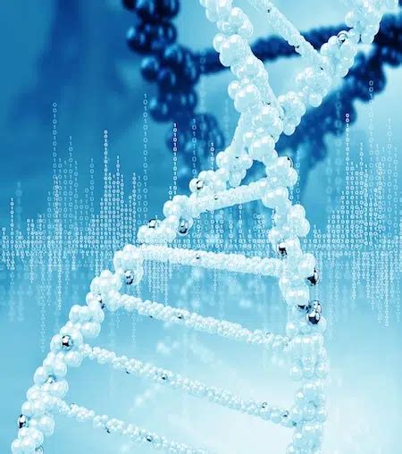 Whole genome sequencing - 24Genetics