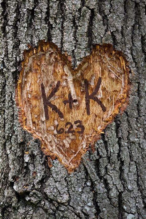 Heart Carved In Tree Wedding